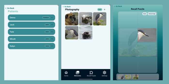 Untitled (Banner Landscape)